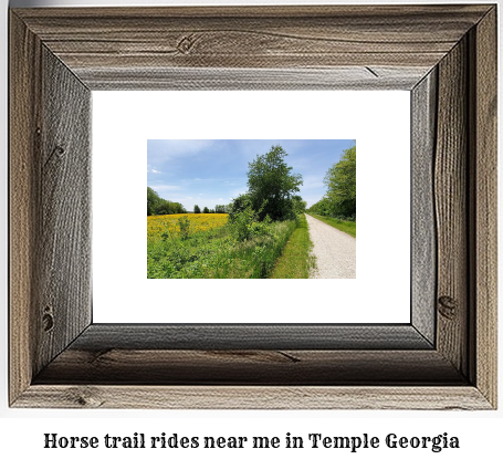 horse trail rides near me in Temple, Georgia